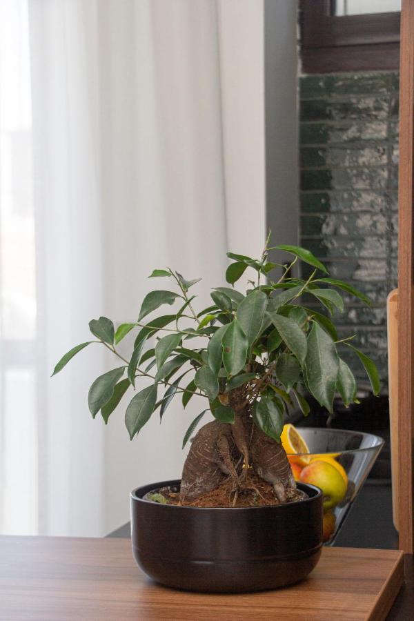 Artisan'S Dwelling Apartment Belgrade Exterior photo